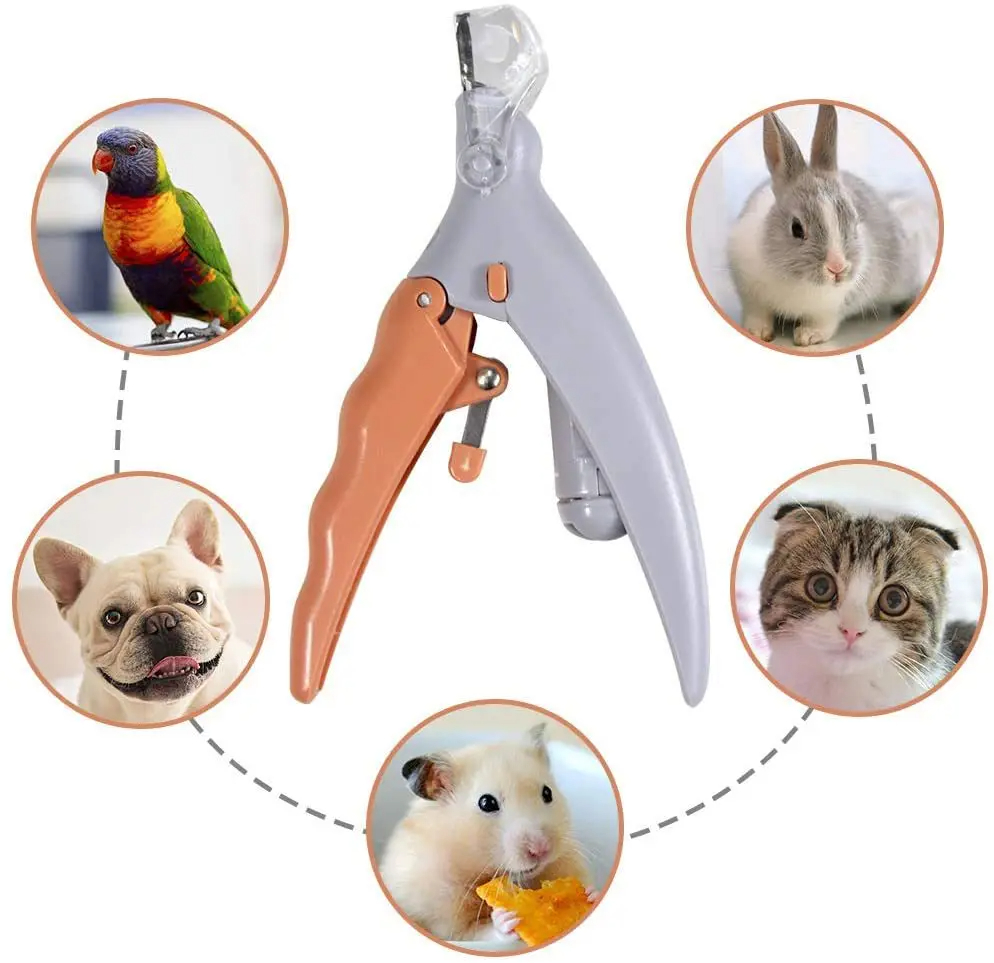 Grooming Scissors - Professional Pet Nail Clipper Scissors for